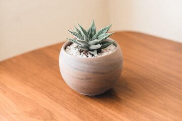 How to Maximize Your Sales on Lautrader: Tips for Successful Listings